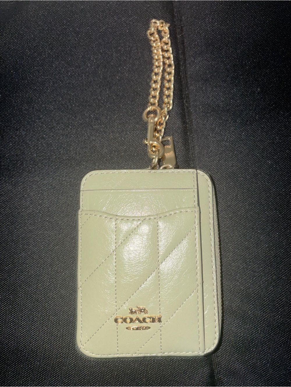 Coach Light Green Leather Card Holder with Gold Chain